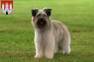 Lire la suite à propos de l’article Berger des Pyrénées éleveurs et chiots à Salzbourg