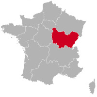 Golden Retriever éleveurs et chiots en Bourgogne-Franche-Comté,