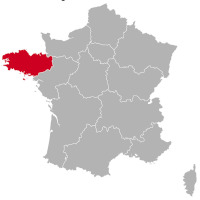 Éleveurs de Cavalier King Charles Spaniel et chiots en Bretagne,