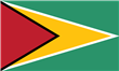 Éleveurs de Jack Russell et chiots en Guyane