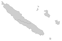 Éleveurs de Cocker américain et chiots en Nouvelle-Calédonie,