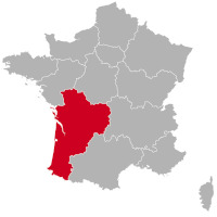 Golden Retriever éleveurs et chiots en Nouvelle-Aquitaine,