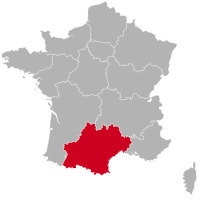 Golden Retriever éleveurs et chiots en Occitanie,