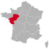 Éleveurs de Cavalier King Charles Spaniel et chiots en Pays de la Loire,