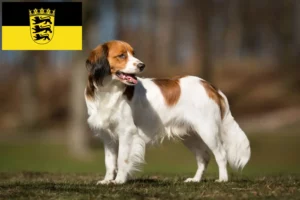 Lire la suite à propos de l’article Nederlandse Kooikerhondje éleveurs et chiots en Baden-Württemberg